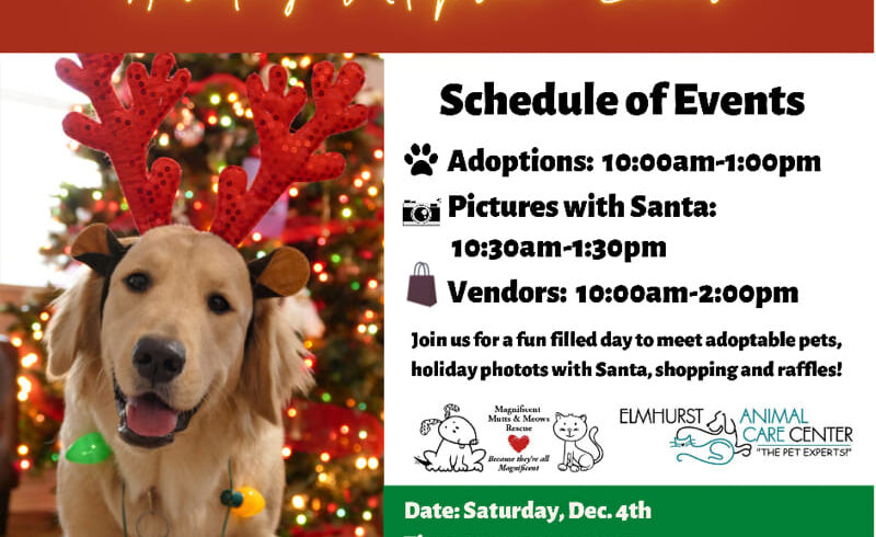 Holiday Adoption Event