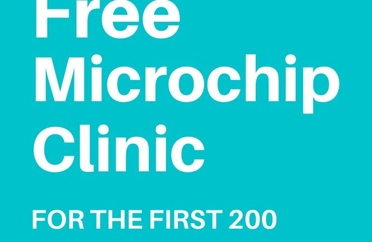 Free microchip clinic