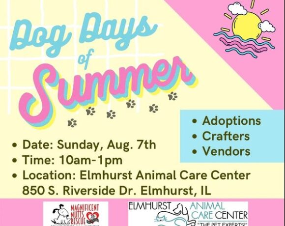 Dog Days of Summer Event Flyer