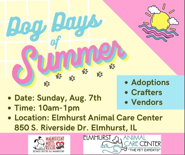 Dog Days of Summer Event Flyer