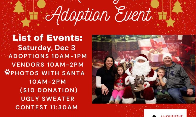 Holiday Adoption Event @ Elmhurst Animal Care Center