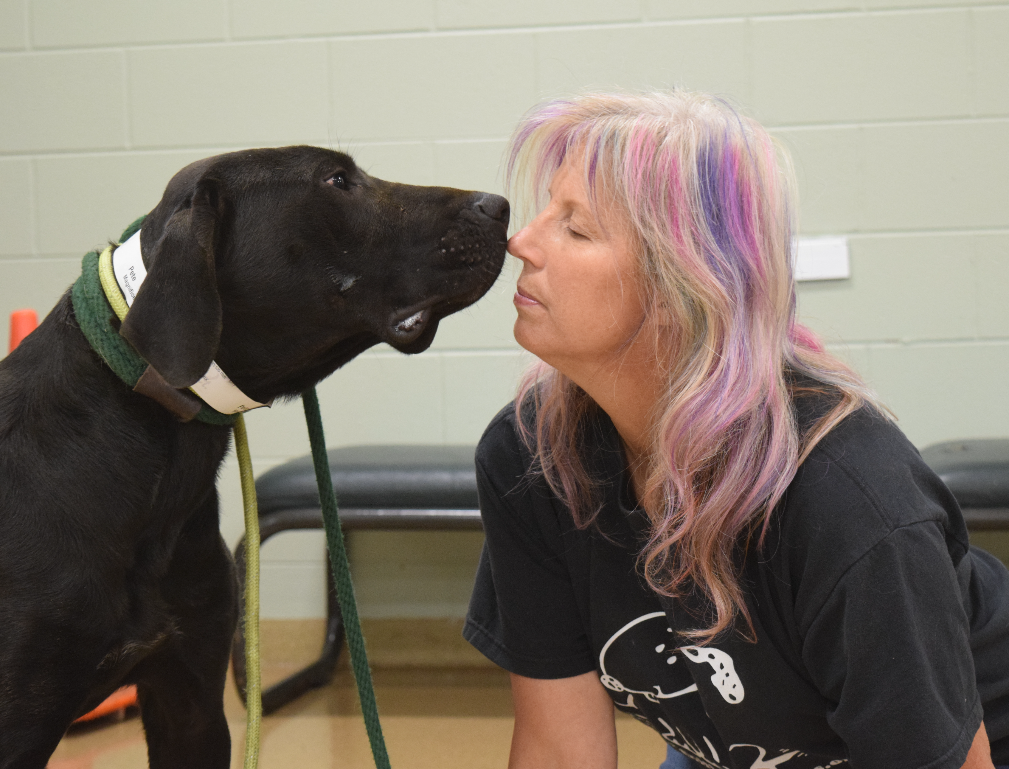 Linda nose to nose with rescue