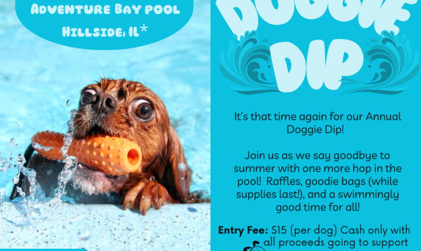 Doggie Dip ’24 Doggie Dip ’24