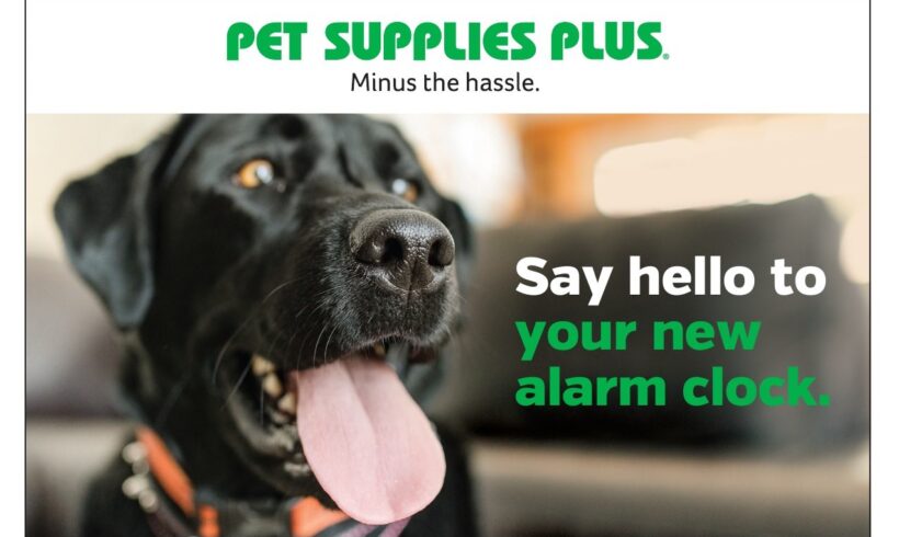 Adoption Event ~ Pet Supplies Plus ~ LaGrange