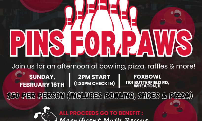 Pins for Paws Fundraiser @ Fox Bowl Pins for Paws Fundraiser @ Fox Bowl