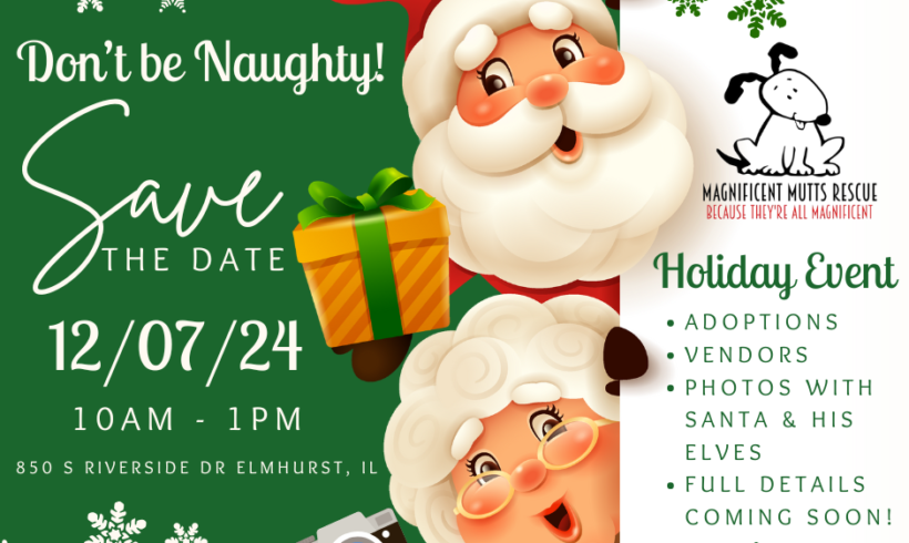 Holiday Adoption Fair @ Elmhurst Animal Care Center Holiday Adoption Fair @ Elmhurst Animal Care Center