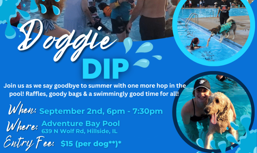 Doggie Dip ’25 Doggie Dip ’25
